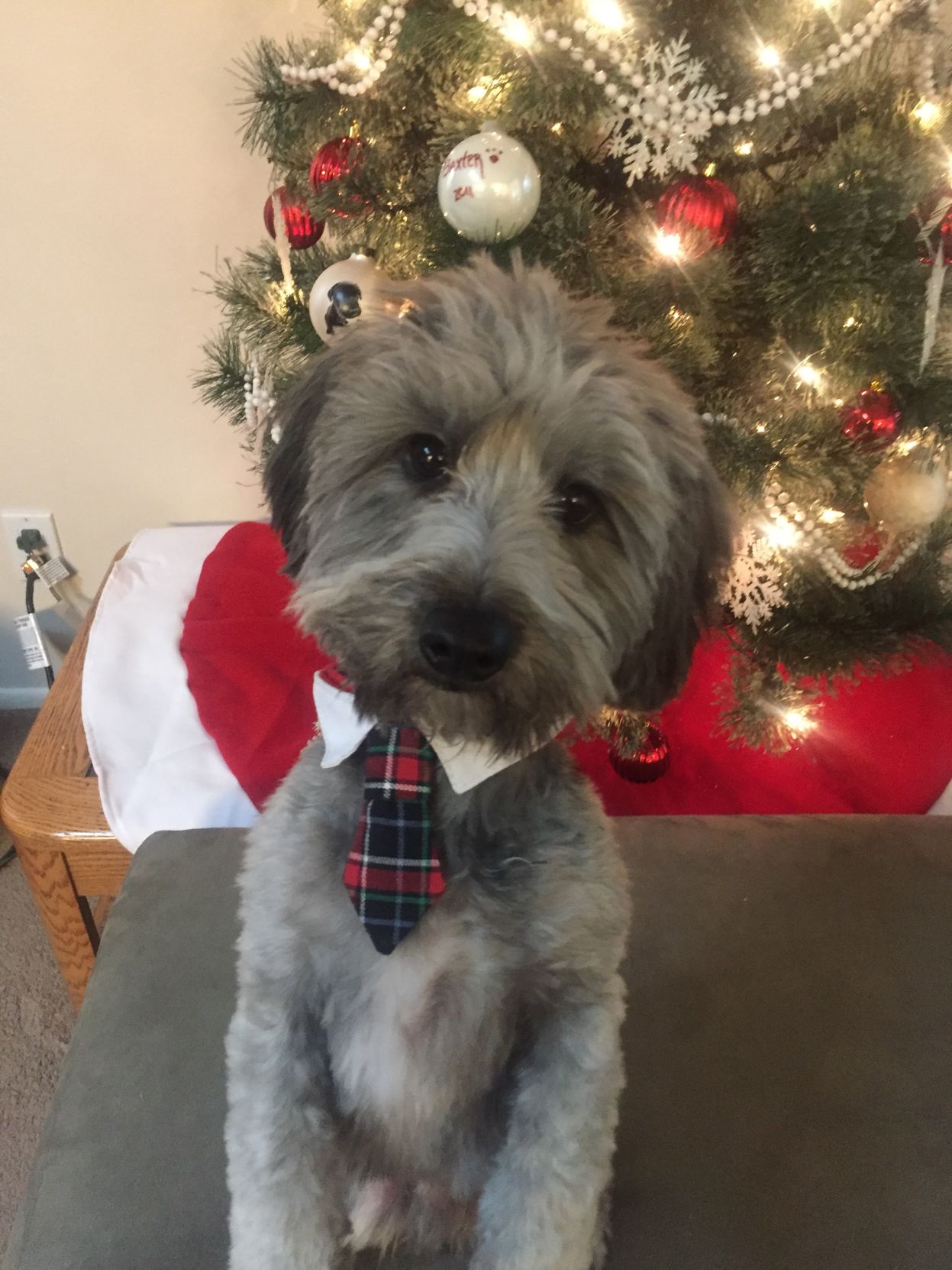 Otis